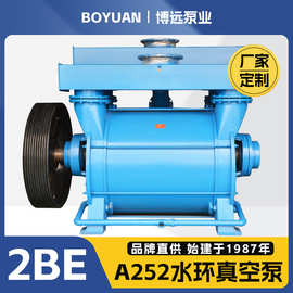 博远厂家定制2BEA252水环真空泵液环泵高真空度工业负压设备机组