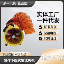 SFT����ʽ��ȫ���������ҵ��Яʽ�ķ���������ƶ�ɢ�ȷ���