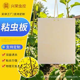 厂家货源诱虫板 黄板篮板粘虫板 大棚茶园果园温室园艺黏虫防虫板