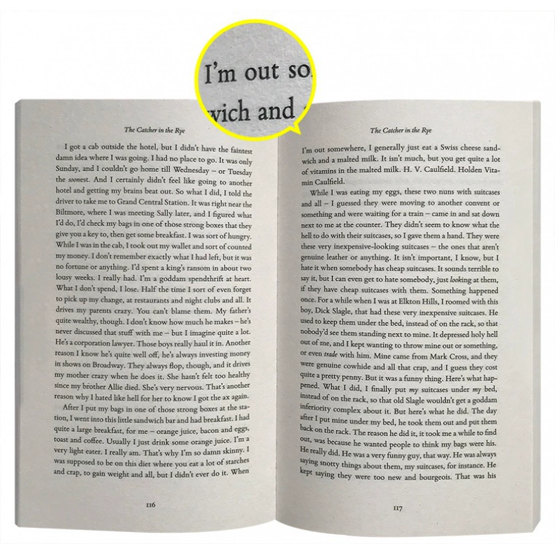 Overwatch в поле пшеницы английский роман The Catcher in the Rye Selinger Импорт книга
