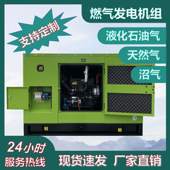 対外貿易輸出バイオマスガス化発電機群バイオマスガス化炉200kw発電機群メーカー
