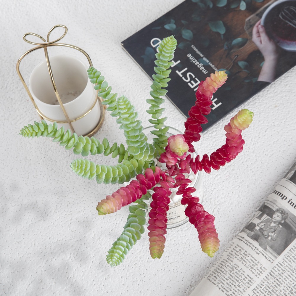 廠家 微景觀6頭銅錢串三色 假花歐式仿真花 多肉仿真綠植MW17662