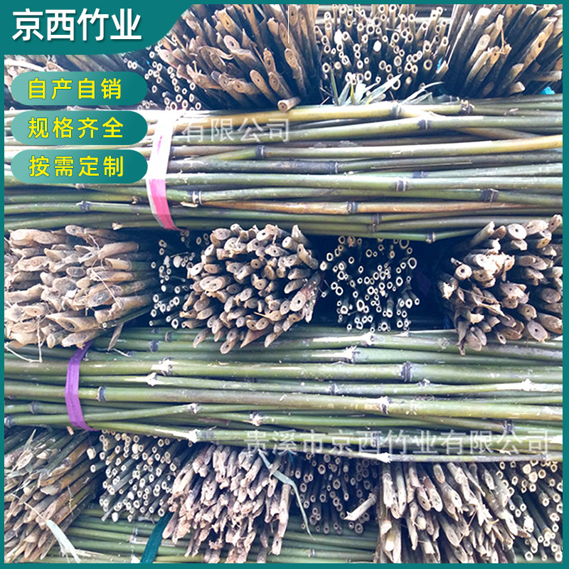 产地销售 5米6米苦竹杆 肉厚杆直农用蔬菜苗圃竹竿