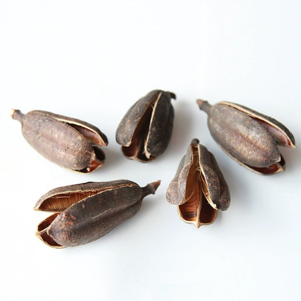 2 sisal fruits—dried flower bag
