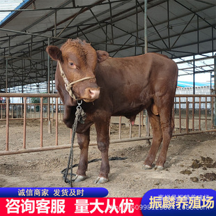 ��ľٝţ�Bֳ���^��ţ�� ������ľٝţ�r�������ţ��