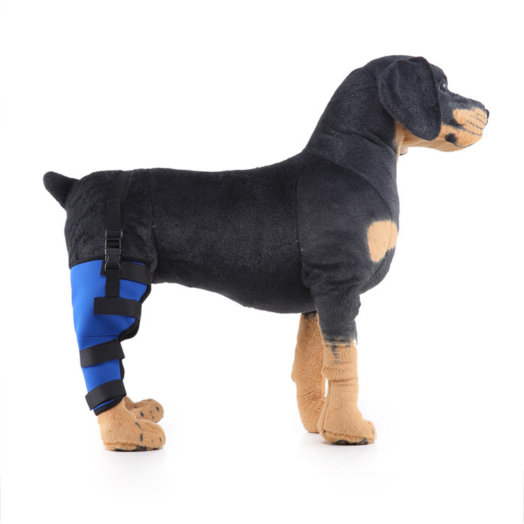 Pet Elbow Brace Leg Joint Protector For Dogs Post Operative Fixation And Support Recovery Knee Brace Dog Supplies_voghion.com