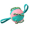 Frisbee football girl pink super bite-resistant interactive thrower