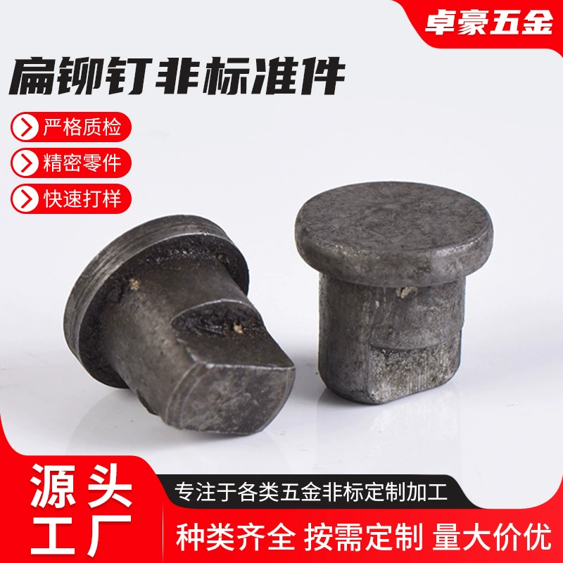 Доставка с завода _ плоские заклепки нестандартные части _ холодная обработка _ Автозапчасти _ Аксессуары для оборудования _ Оптовая торговля
