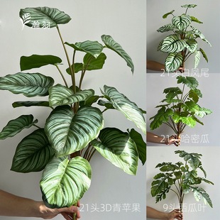 ��������Gֲ��׻�Y�ڒ��b����҃��쾰�[�����l�L�����~����