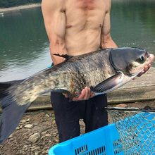 �����~�絭ˮ���Bֳ������I�~�����^�~���~���^�~�a�~����~��