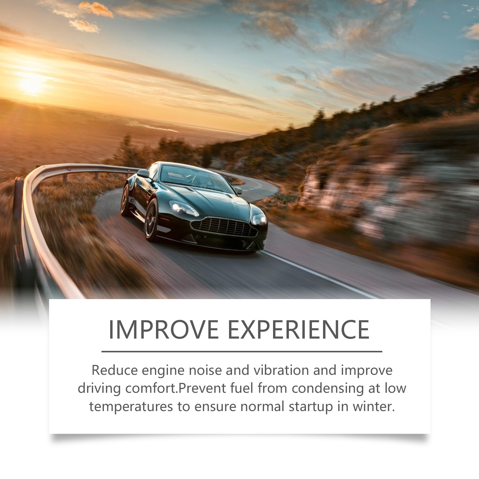 Rayhong Car Fuel Additive Protects Engine Keeps Parts Wear System Clean Additive