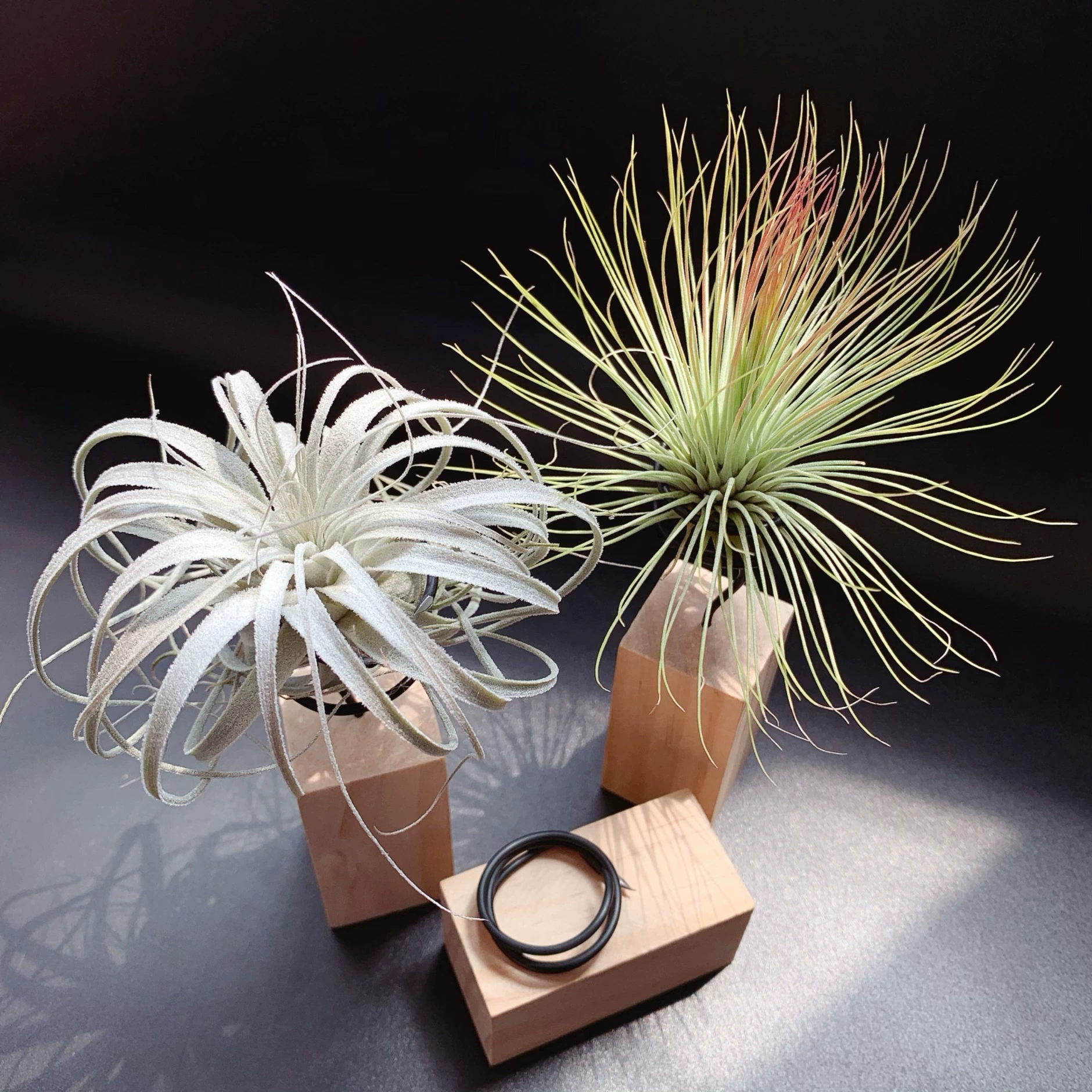 Завод прямые поставки базы прямые волосы воздуха Феникс разведения базы Кола (с алюминиевой катушкой) три спецификации оптом