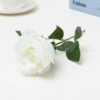 Short Rose--White