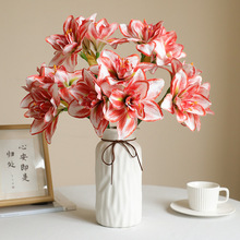 �¿��L֦�zƬ�ָо����mʯ����滨�ҾӾƵ�Y���b�ˇ�廨�[��