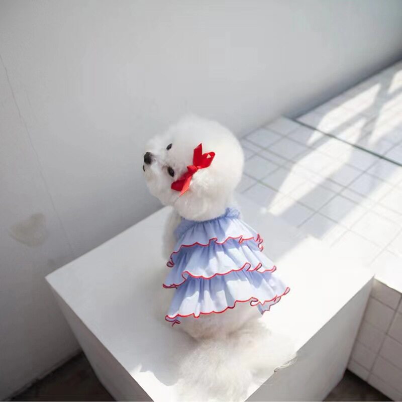 강아지 옷 공주 예쁜 치마 강아지 여름 얇은 펫 테디 비숑 보미 파투 원피스