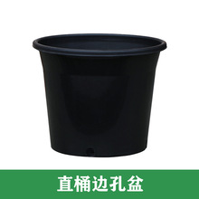 FAֱͰ߅�����ɫ�A������طNֲ�G���廨�N���辰 ���ϻ������l