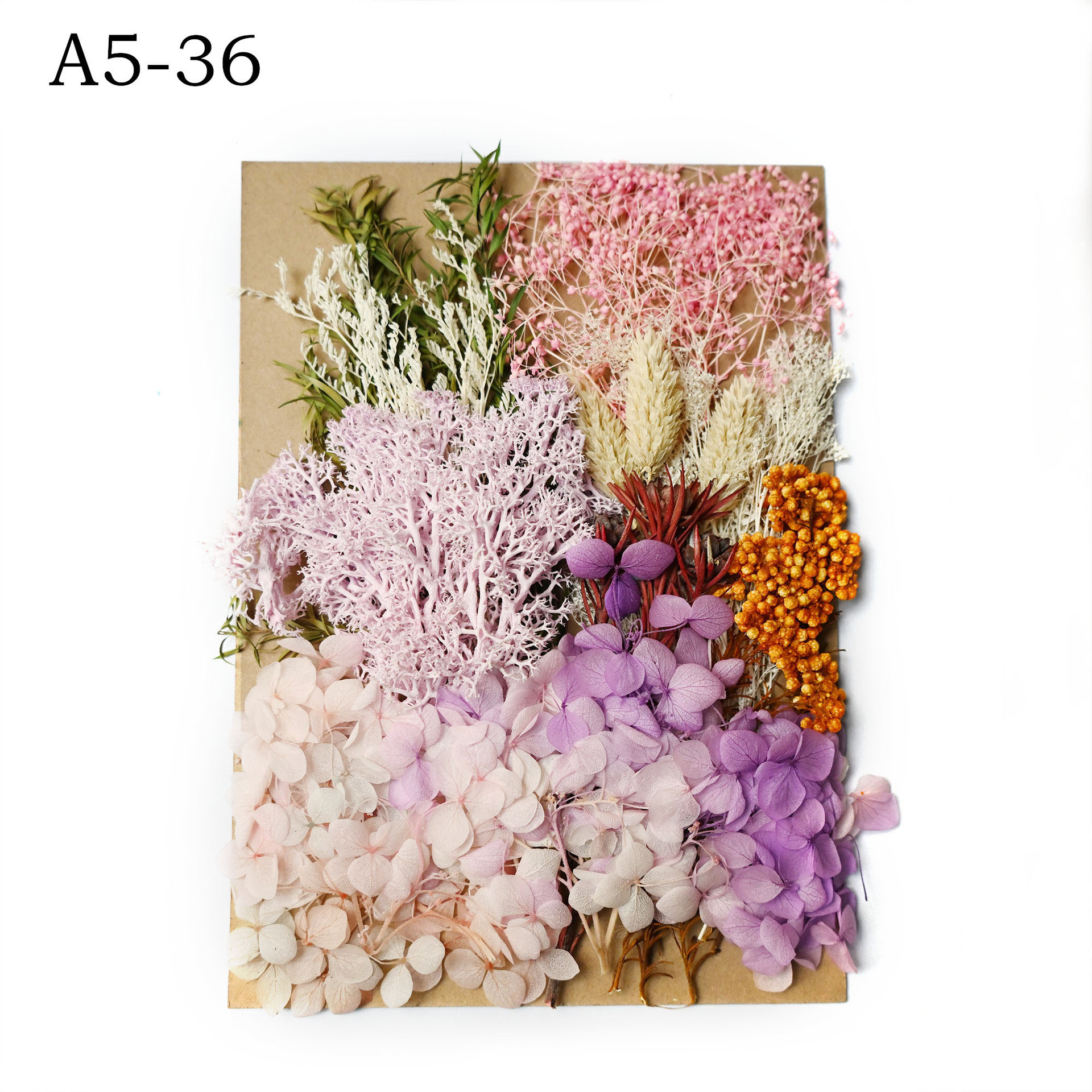 [Paquete de material de estampado A5] Flor seca flor eterna marco de fotos paquete de material de estampado DIY flor aromaterapia vela flor seca