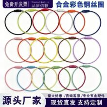 ��ɫ����䓽zȦ䓽z�KŤ�ֹ�DIY�Ʒ������Ϻ��s����耳׿����