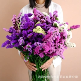 永生花;鲜花花艺制品;干花