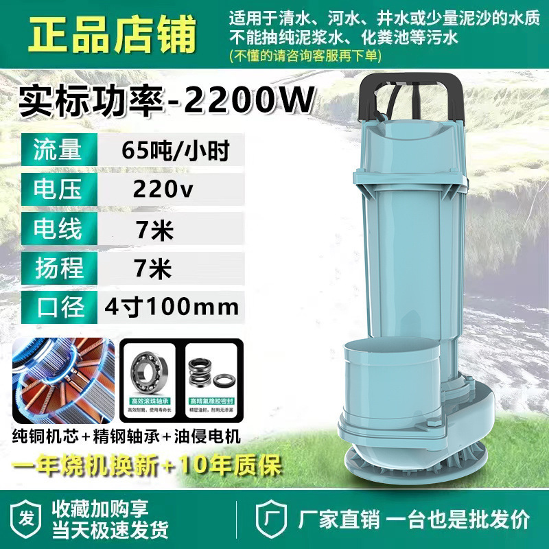 Shanghai auténtica bomba sumergible 220V bomba de agua de gran calibre 3 pulgadas 4 pulgadas sin escobillas de alto flujo de elevación bomba de agua