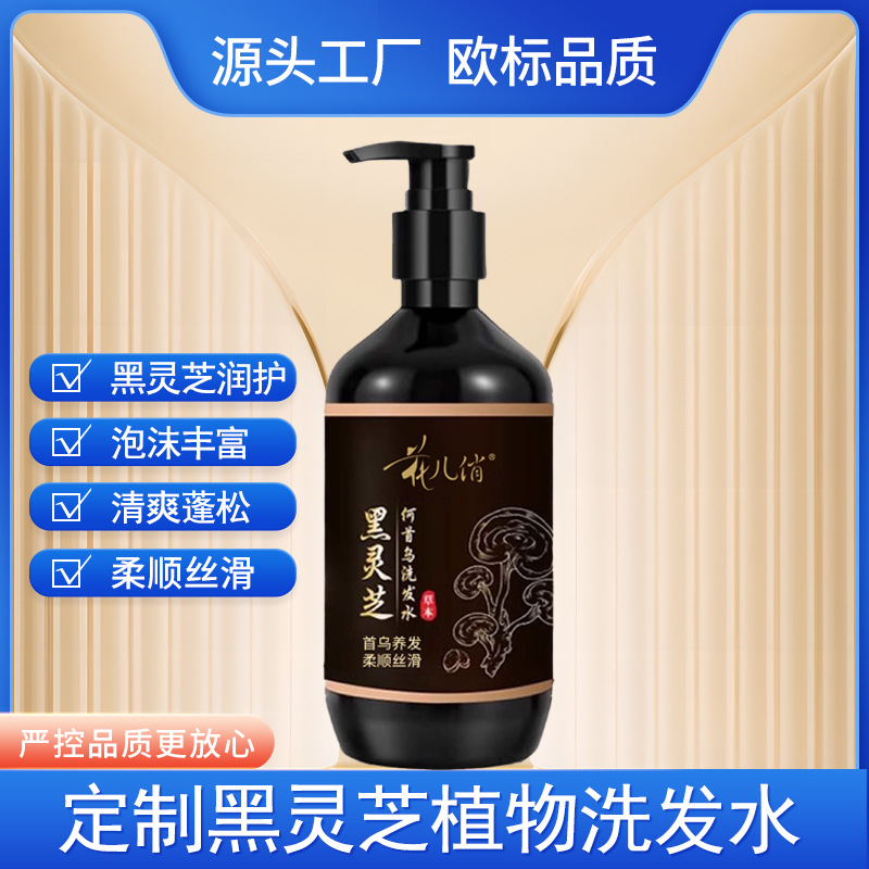 Black Ganoderma and Platycladus Arborvitae Tea Bran Shampoo Customized Oil Control Anti-Dandruff Smooth Hair Shampoo Oem Processing