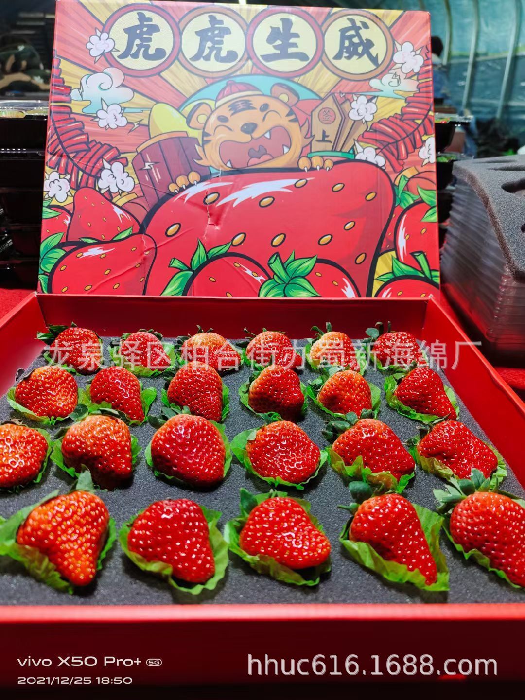 供应草莓礼盒内衬包装海绵/心形孔内托包装海绵/爱心草莓海绵托