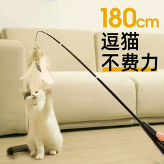 Cat toy wand with long telescopic handle, replaceable head (feather, bell, fishing rod), complete set for kittens