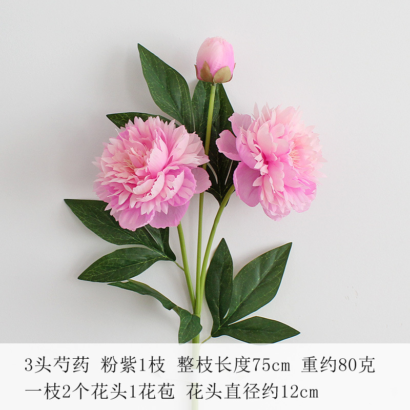 핑크 보라색