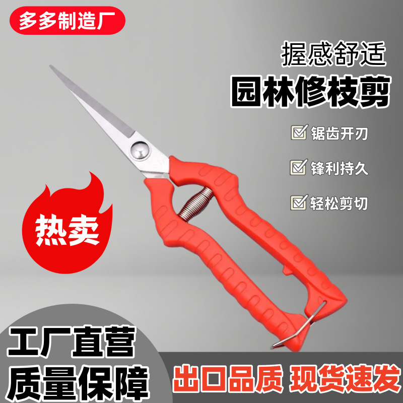 葡萄疏果专用剪刀园艺疏花修果剪采果摘果剪刀水果柑橘锯齿果园剪