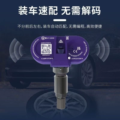 Sensor Tesla Model – Tire pressure monitoring system