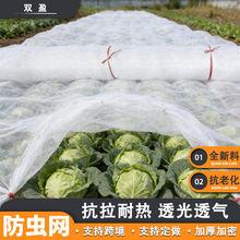 厂家直发防虫网果树农用大棚10-120目可定制加密加厚防虫网罩
