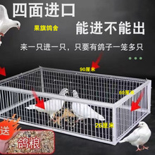 天落笼鸽子笼鸽子活络门只进不出撞门鸽笼铁笼跳笼自动门神器捕捉