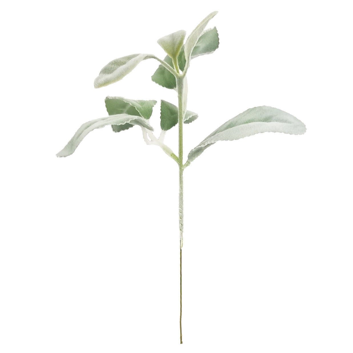 复制_仿真植物植绒单只羊耳叶兔耳叶桉树叶 森系.jpg