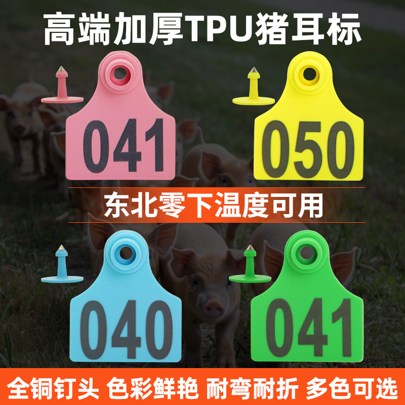 Lucky Farm Pig con signos de oreja con palabras, letreros de oreja veterinaria sin signos de oreja con palabras, letras láser especiales suaves tpu