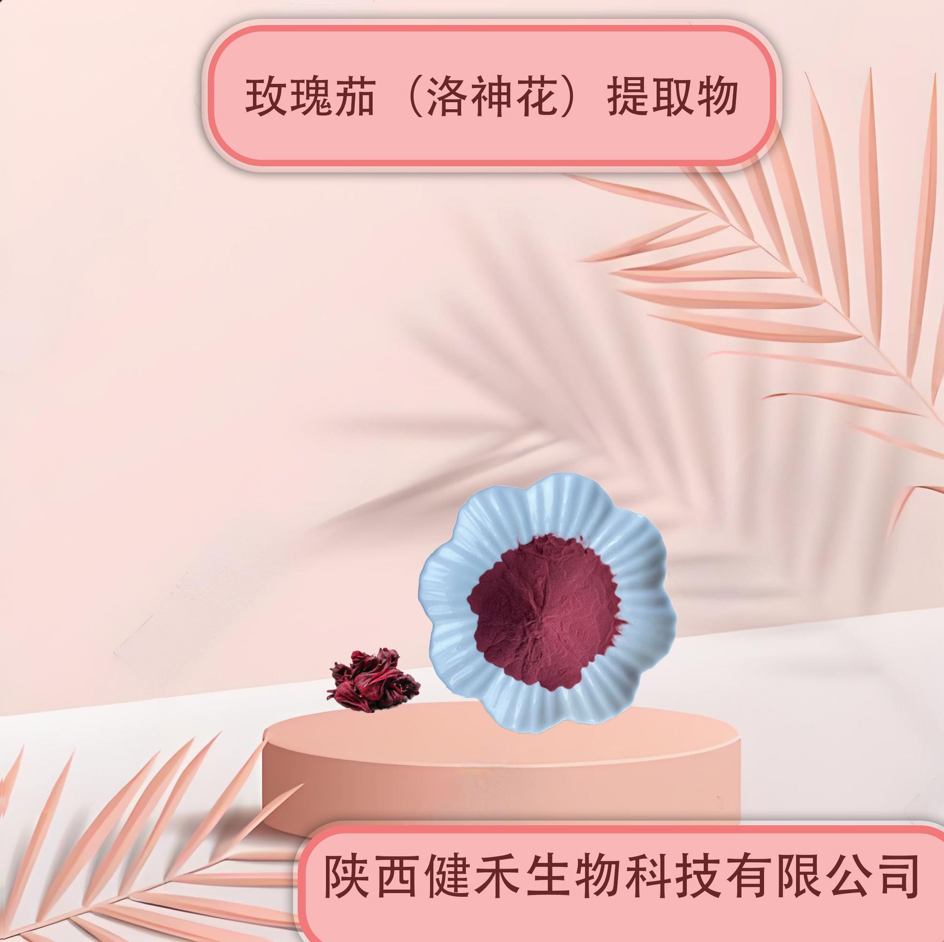玫瑰茄(洛神花)提取物10:1  水溶性洛神花粉玫瑰茄粉