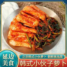 萝卜青年泡莱青年萝卜正宗酸甜脆萝卜青年小萝卜新鲜韩式原装咸菜