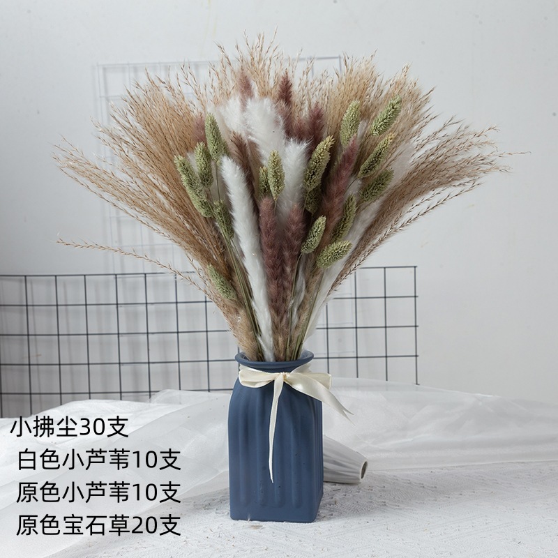 アマゾンはよく売れています。葦の花の花束です。|undefined