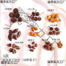 ׃@ֹȻɹǧybɻ}Q