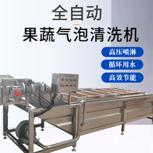 果蔬鼓泡翻浪清洗设备 全自动涡流气泡清洗机 喷淋式西红柿洗菜机