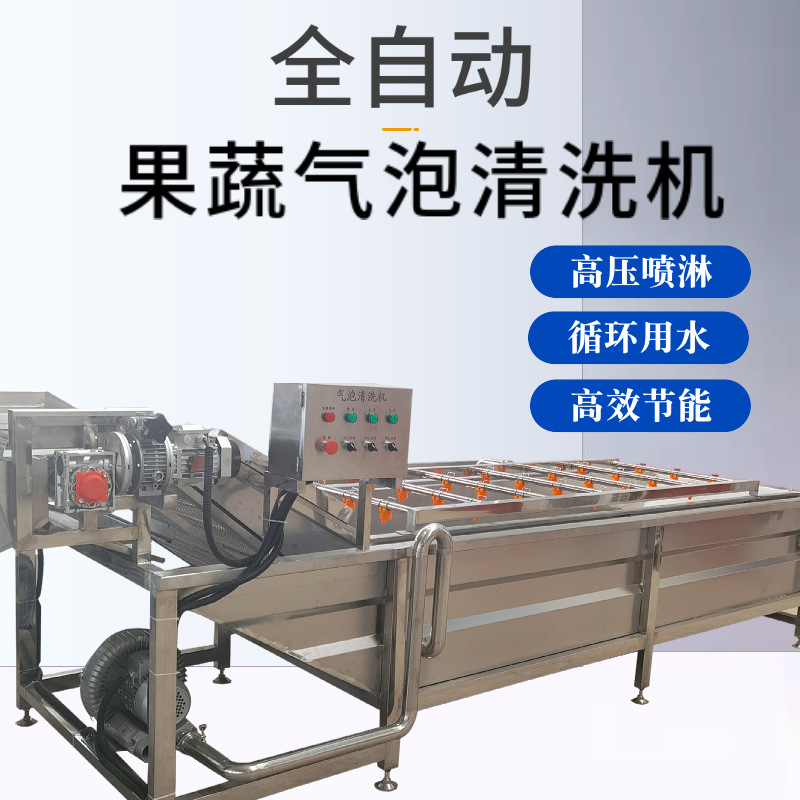 果蔬鼓泡翻浪清洗设备 全自动涡流气泡清洗机 喷淋式西红柿洗菜机