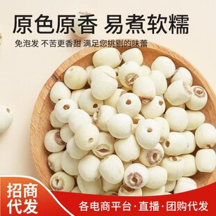 ��Ȼȥо�°�ɏ��ĥƤȥͨо��ɏ�Ӹ�500gɢ�b������ɏ��ɏ��