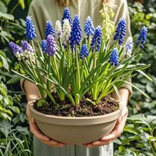 ˮ�������L�������������b�ͺ��׻��ļ��_���҃��̨���Ի��N��