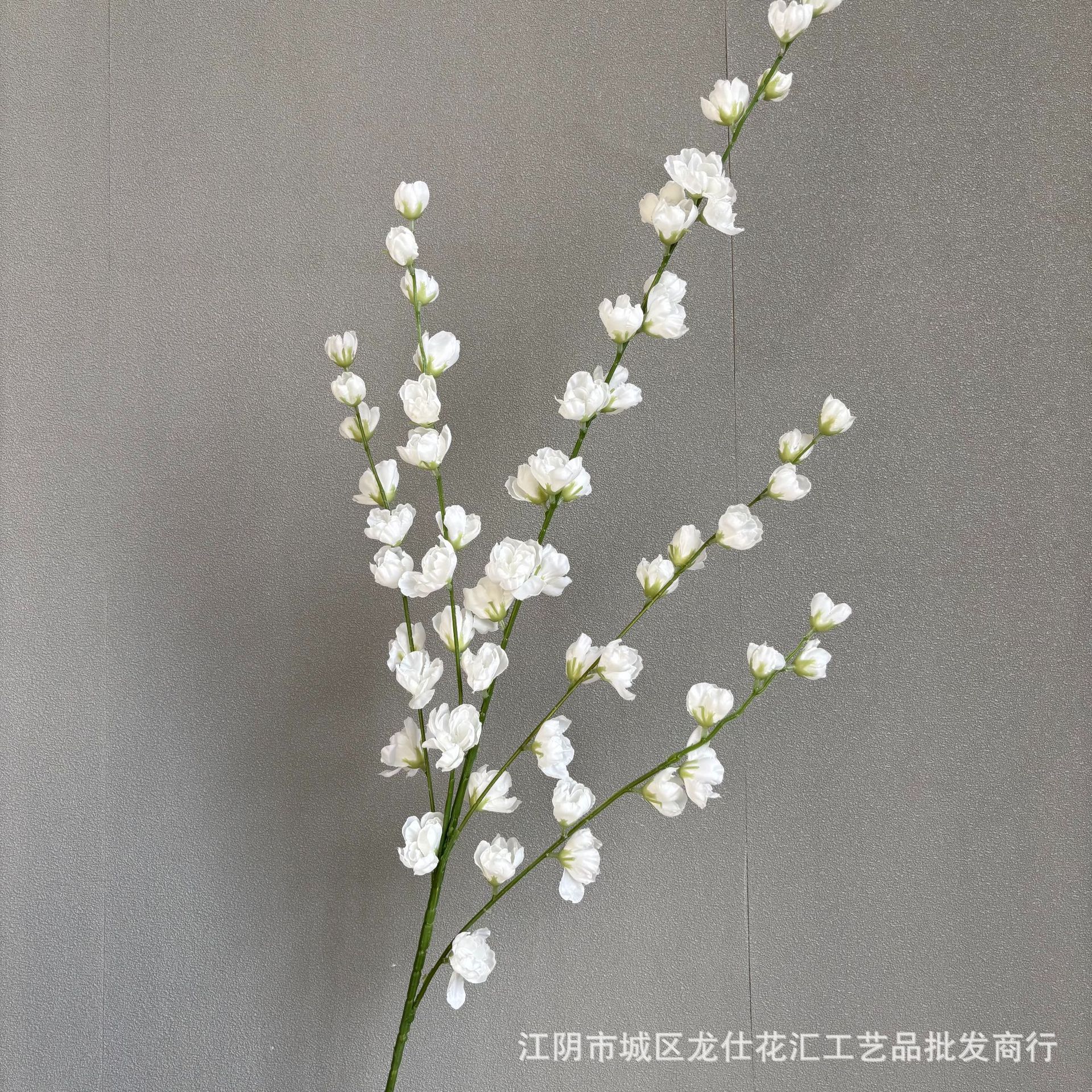 다섯 갈래의 델피늄