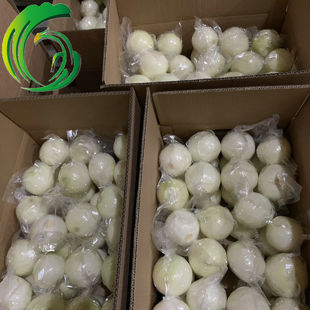 ������[ ���Sֱ�� ���ς䰸���خa �����ձ� �|�ρ� BRC FDA