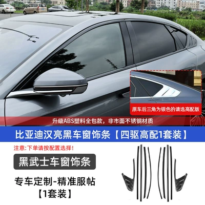 Appearance Kit EV Modified Appearance | Automobile anti-insect net - han-blackening-kit-car-window-trim-four-wheel-drive-high-configuration-1-set
