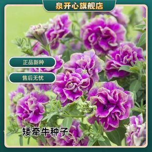 �M���ذ갫��ţ��߅���̨ͥԺ���������Ե��԰���ţ������