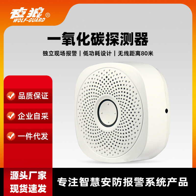 家用独立式高精准探测一氧化碳报警器 室内厨房CO气体泄漏报警器