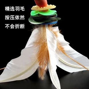 ��ӱ�ِ������������ƌW����ӳ����˰�ɫ�Zë������ë�ߏ���