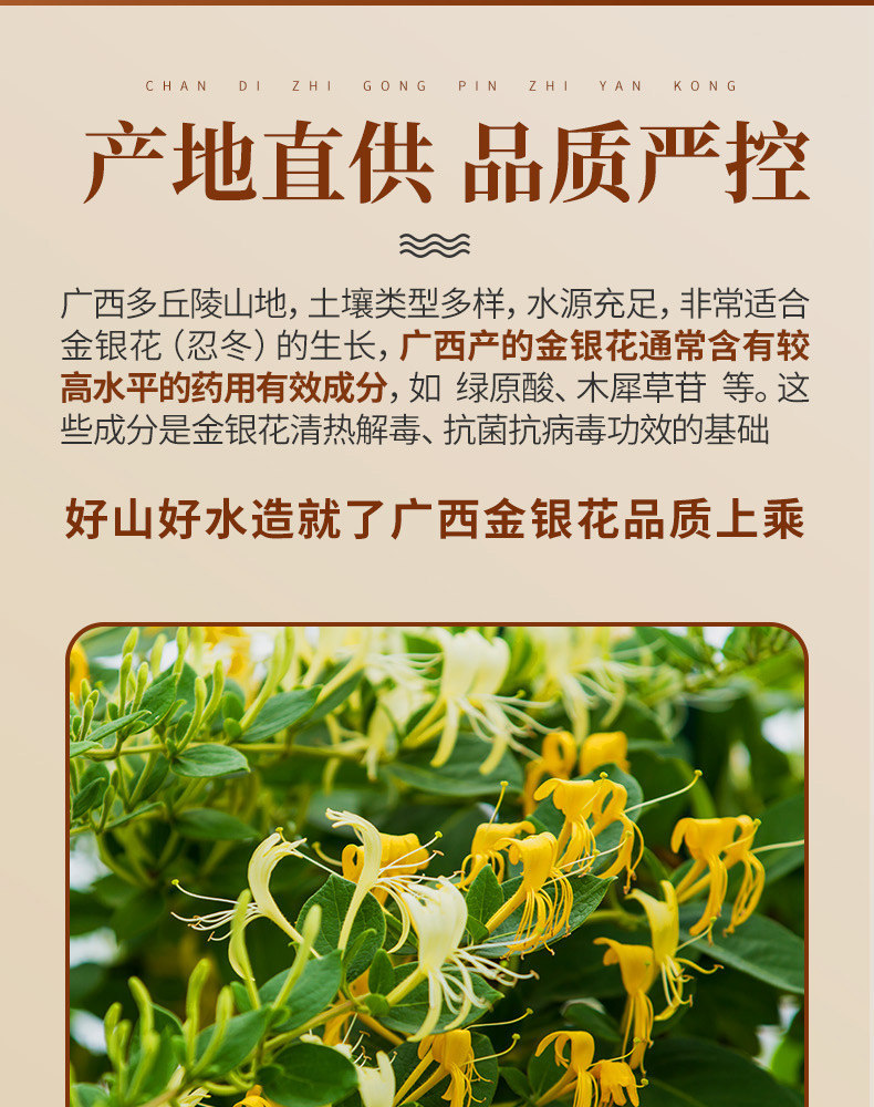Wild Honeysuckle Flower Tea Jin Yin Hua Dried Buds for Tea Infusions and Bath Soaks 500g key features