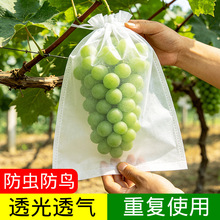 葡萄专用袋防虫防鸟无纺布透气水果草莓鹰嘴桃杨桃无花果抽绳套袋